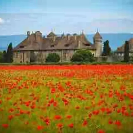 Maison Time Break Jacuzzi - 4 Etoiles Villa *